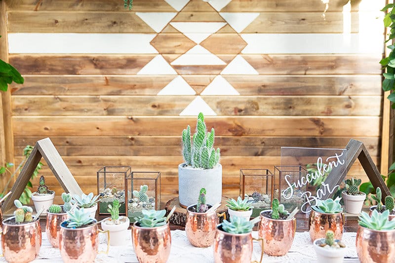 22 Must-Have Succulent Party Decorations For 2022 | Succulent Bar