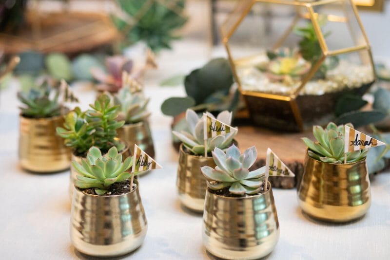 succulent party tablescape with mirrors gems mutliple colors of jewels used for decorating potting experience