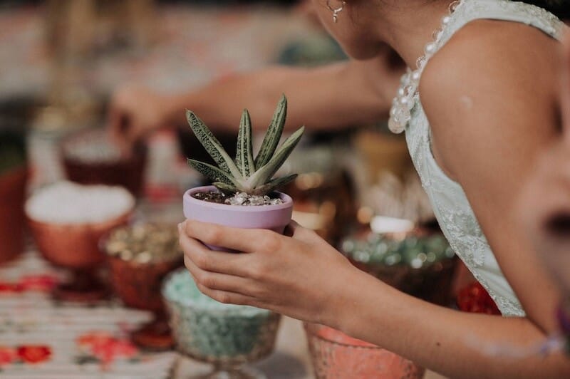 woman holding succulent in lavender pot picking decorations at succulent party