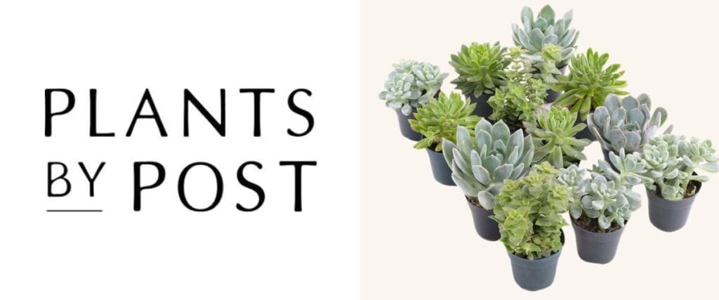 plants by post business logo