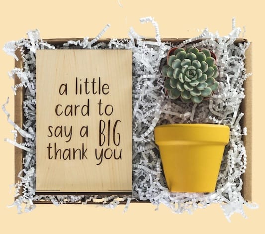 big thank you party favor gift box from succulent bar store