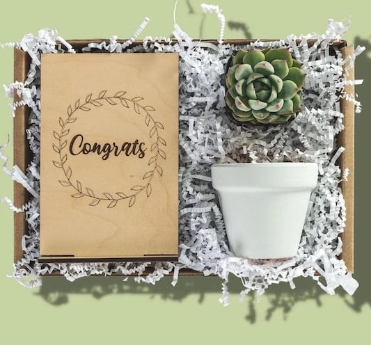 congrats wreath party favor gift box from succulent bar store