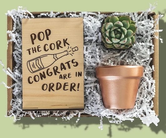 Succulent party best sale favors baby shower