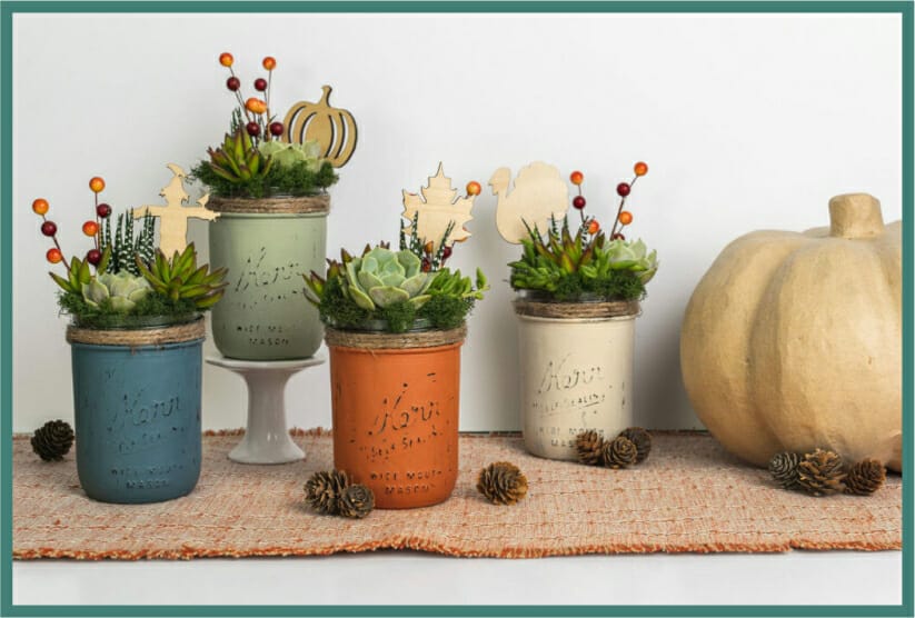Four pots display a variety of succulents, including Echeveria Elegans, Sedum Rubrotinctum, Aloe Vera, and Haworthia Cooperi, each with its unique leaf shape and color.